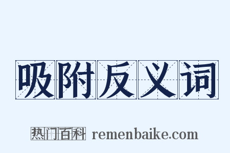 吸附反义词是什么意思的图片